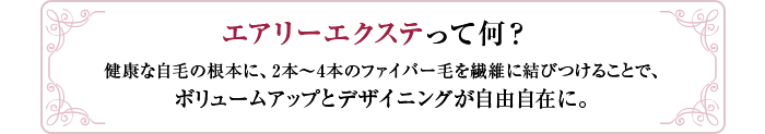 エアリーエクステって何？